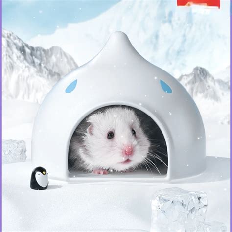 cx hamster|AnimeSaturn